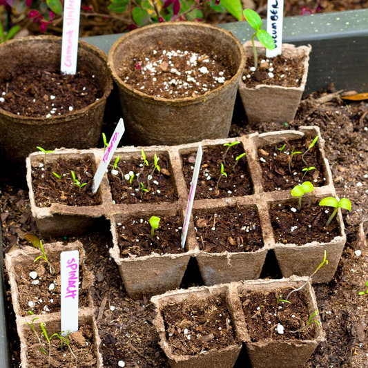 10 Pack Seedling Starter Trays - 120 Cells,Biodegradable Seed Starter Trays for Seedlings,Eco-Friendly Peat Pots