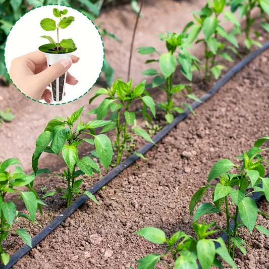 Seed Pod Kit, 121Pcs Set (30 Sponges, 30 Baskets, 30 Domes, 30 Labels, 1 Tweezer) 9.8"*5.3"*2.0" Universal Replacement, Clear Plastic & Peat, for Indoor Hydroponic Growing System Herbs Gardeners