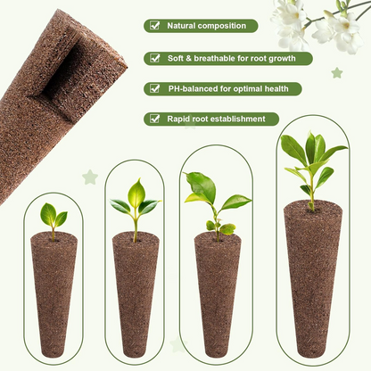 Seed Pod Kit, 121Pcs Set (30 Sponges, 30 Baskets, 30 Domes, 30 Labels, 1 Tweezer) 9.8"*5.3"*2.0" Universal Replacement, Clear Plastic & Peat, for Indoor Hydroponic Growing System Herbs Gardeners