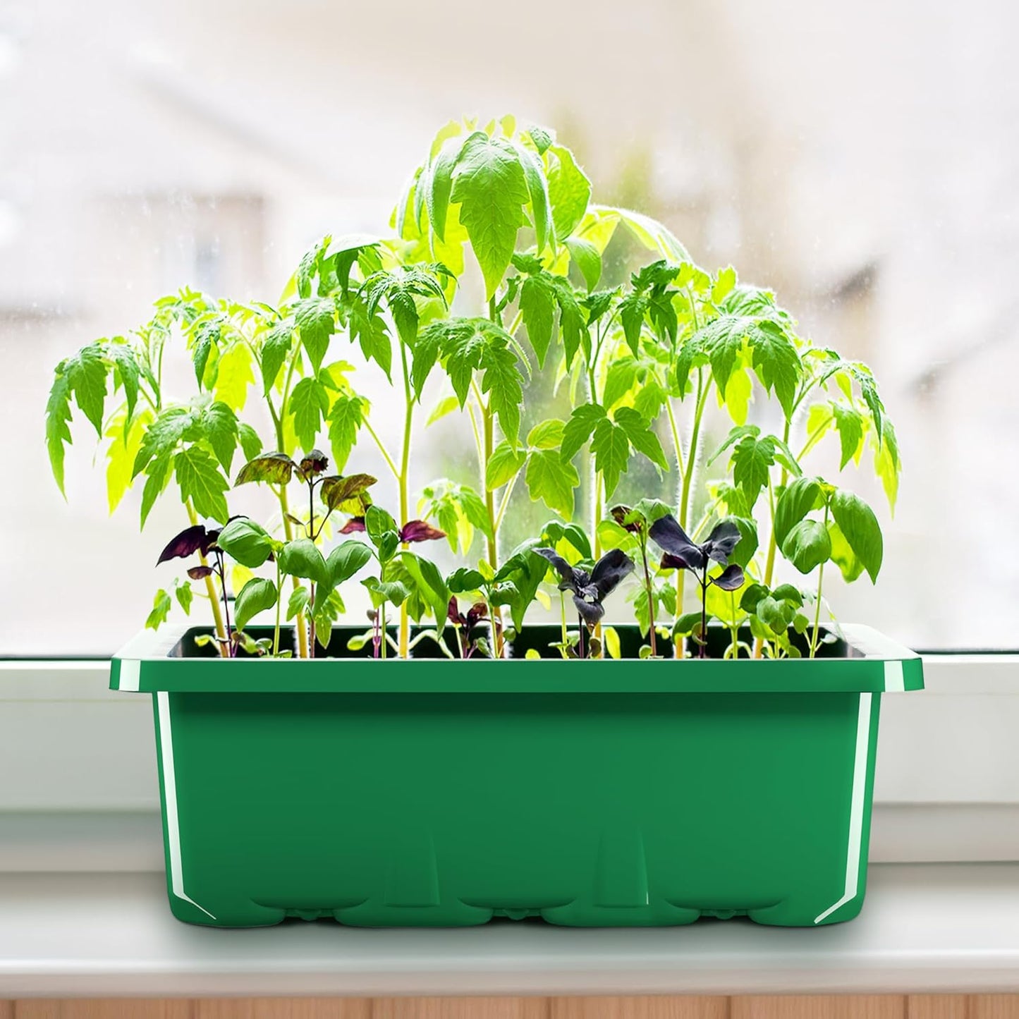 10pcs-Starting Tray | 12 Cell Reusable Seed Starter Tray | for Starting Vegetable, Flower & Herb Seeds | Indoor Grow Kit for Plant Seedlings | for Germination Success