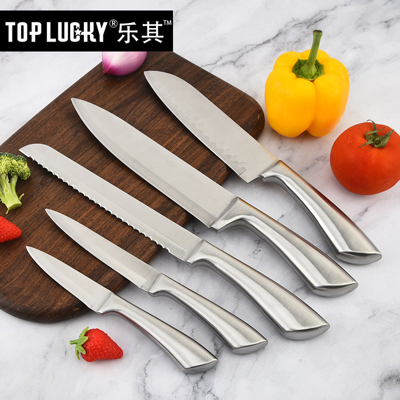 5-Piece Stainless Steel Kitchen Knife Set | Professional Chef and Home Utility Knives - Fruit Knife, Japanese Knife, Bread Knife, Multipurpose & Chef Knife | Ideal Gift Choice for Home Chefs and Culinary Professionals, Christmas gift